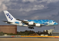 ANA_A380_JA381A_NRT_0224_1_JP_small1.jpg